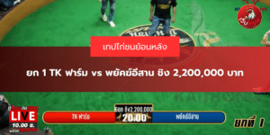 ยก 1 TK ฟาร์ม vs พยัคฆ์อีสาน ชิง 2,200,000 บาท