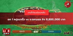 ยก 1 หนุ่มนาติ้ว vs ช.ฉลามชล ชิง 8,800,000 บาท