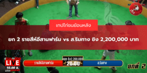 ยก 2 ราชสีห์อีสานฟาร์ม vs ส.ริมทาง ชิง 2,200,000 บาท