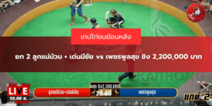 ยก 2 ลูกแม่ม้วน + เด่นมีชัย vs เพชรพูลสุข ชิง 2,200,000 บาท