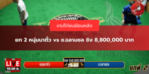 ยก 2 หนุ่มนาติ้ว vs ช.ฉลามชล ชิง 8,800,000 บาท