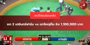 ยก 2 เตชินทร์ฟาร์ม vs เขาใหญ่ทีม ชิง 1,100,000 บาท