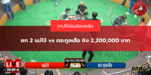 ยก 2 แม่โจ้ vs ตระกูลเสือ ชิง 2,200,000 บาท