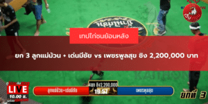 ยก 3 ลูกแม่ม้วน + เด่นมีชัย vs เพชรพูลสุข ชิง 2,200,000 บาท