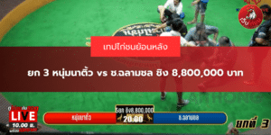 ยก 3 หนุ่มนาติ้ว vs ช.ฉลามชล ชิง 8,800,000 บาท