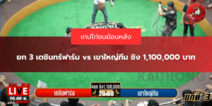 ยก 3 เตชินทร์ฟาร์ม vs เขาใหญ่ทีม ชิง 1,100,000 บาท