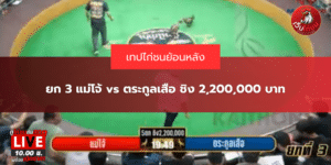 ยก 3 แม่โจ้ vs ตระกูลเสือ ชิง 2,200,000 บาท