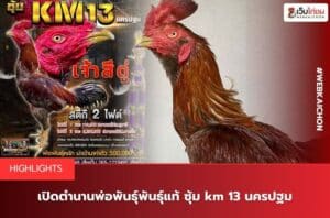 ซุ้ม KM 13 นครปฐม