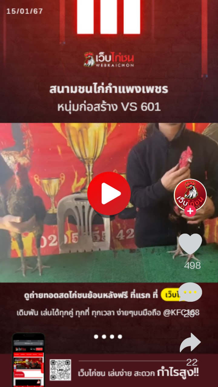 สนามชนไก่กำแพงเพชรสปปลาว