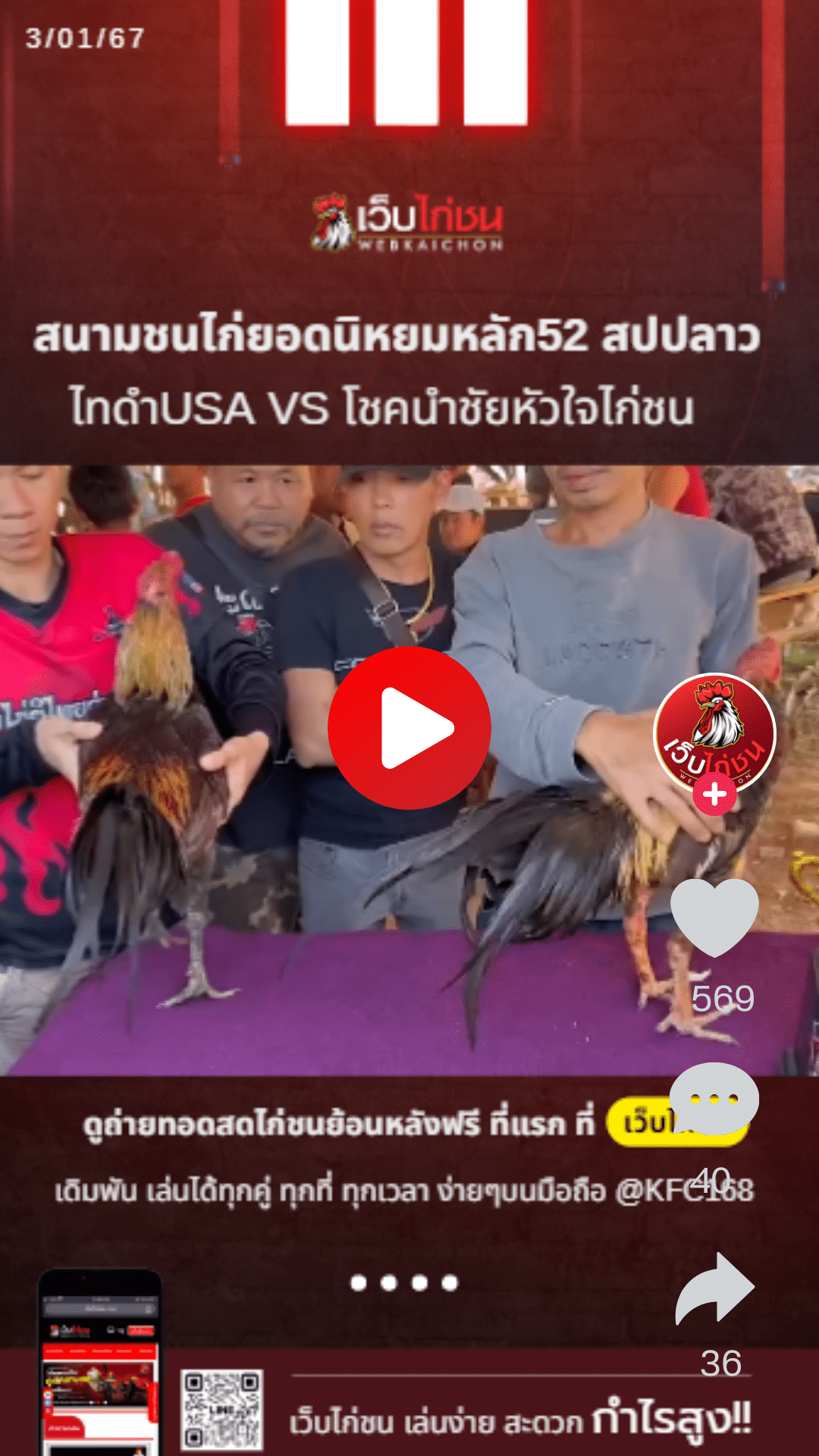 ไทดำUSA VS โชคนำชัยหัวใจไก่ชน